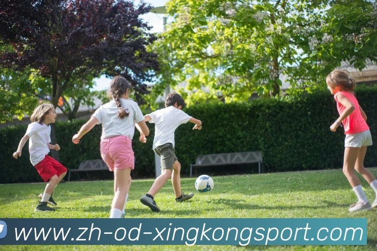 App Interface Preview